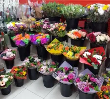 🌸✨ Laat je betoveren door onze bloemenafdeling! 